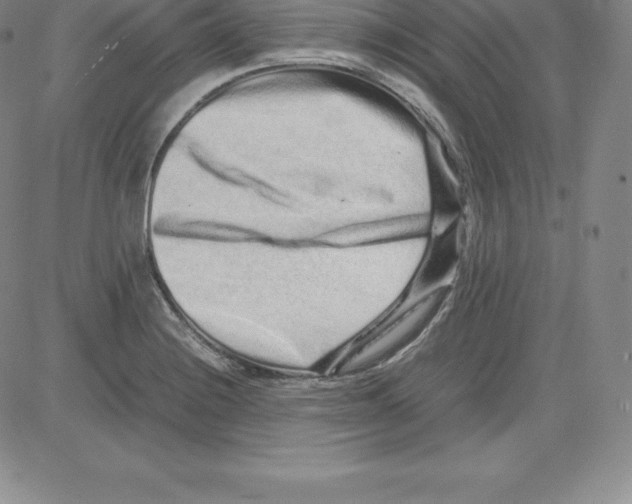 X0000080111228200701051321