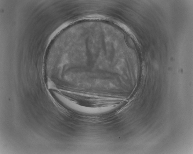 X0000080111229200701051321