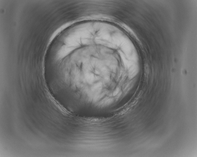 X0000080111230200701051321