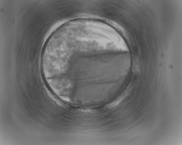 X0000080111231200701051321