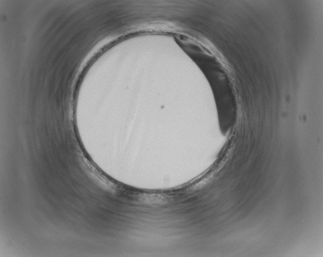 X0000080111232200701051321