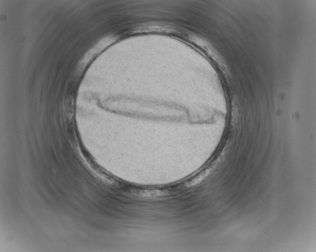 X0000080111233200701051321