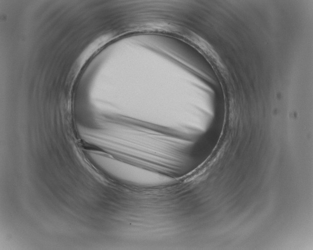 X0000080111234200701051321