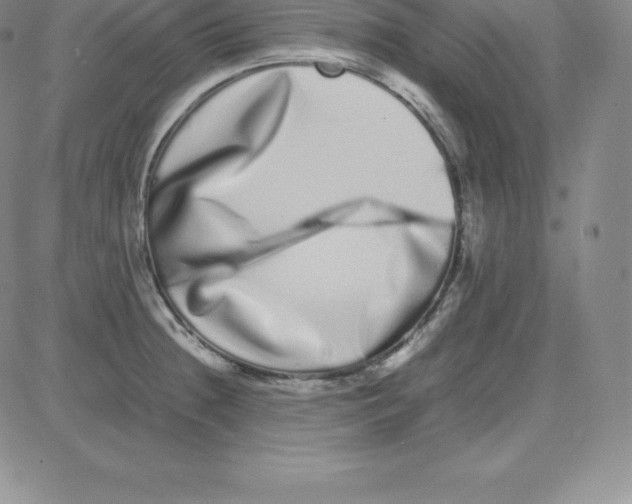 X0000080111236200701051321