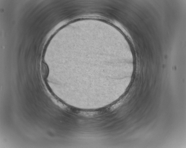 X0000080111237200701051321