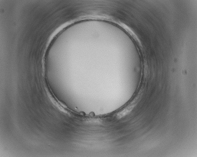 X0000080111238200701051321