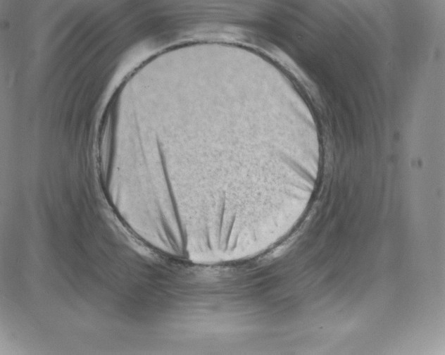 X0000080111240200701051321