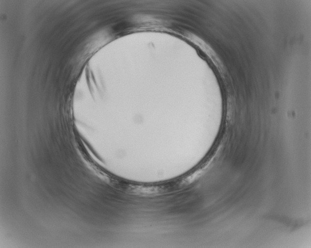 X0000080111241200701051321