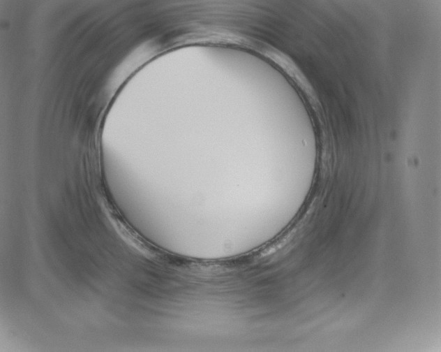 X0000080111242200701051321