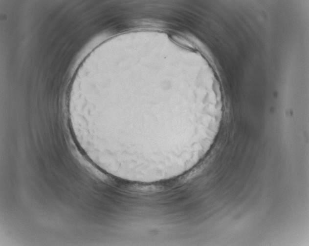 X0000080111243200701051321