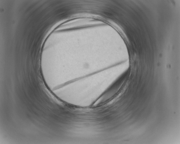 X0000080111244200701051321