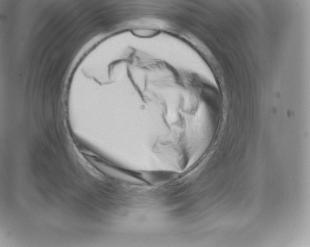 X0000080111248200701051322