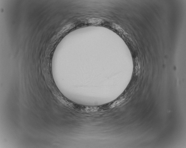 X0000080111249200701051321