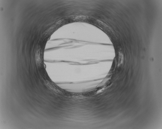 X0000080111250200701051321