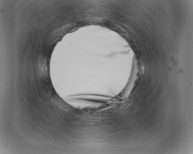 X0000080111252200701051321