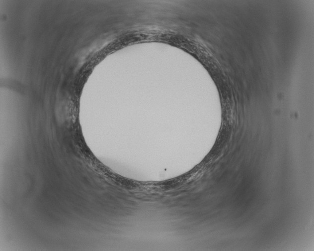 X0000080111253200701051321