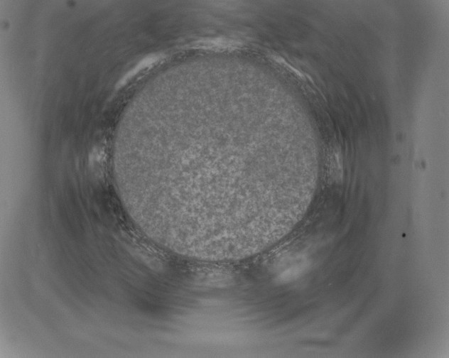 X0000080111254200701051321