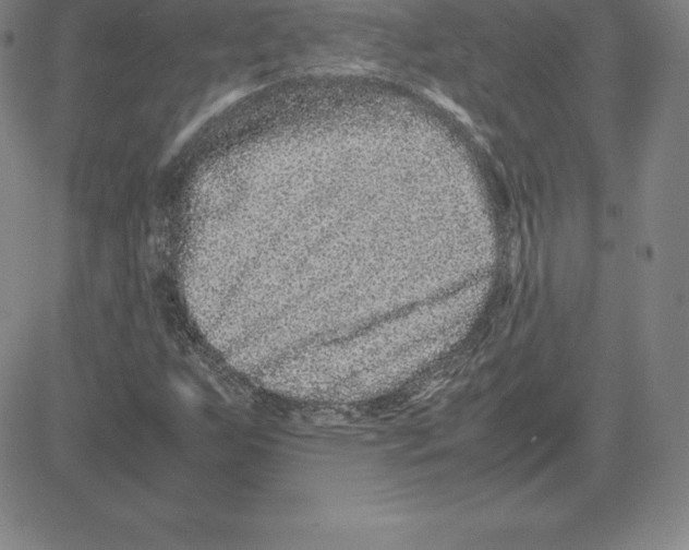 X0000080111255200701051321