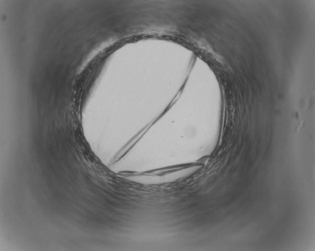 X0000080111256200701051321