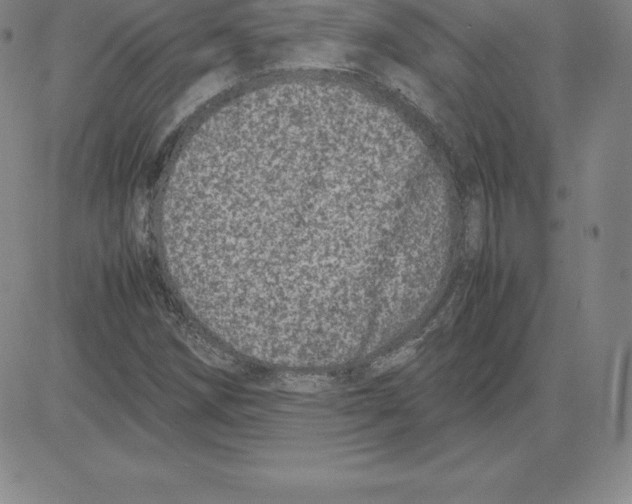 X0000080111258200701051321