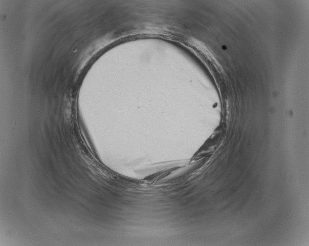 X0000080111260200701051321