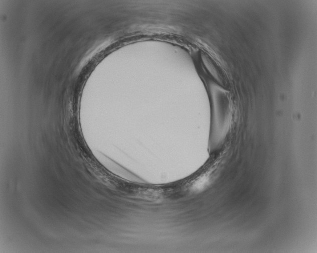 X0000080111261200701051321