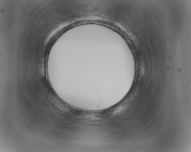 X0000080111262200701051321