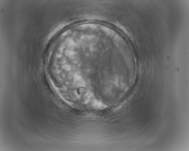 X0000080111263200701051321