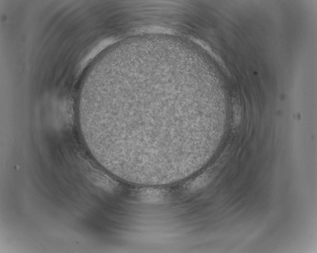 X0000080111266200701051321