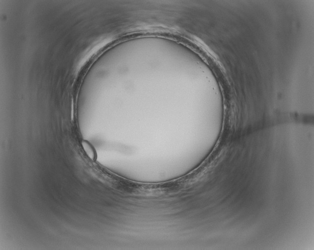 X0000080111269200701051320