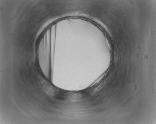 X0000080111270200701051320