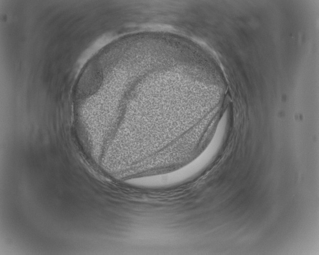 X0000080111271200701051320