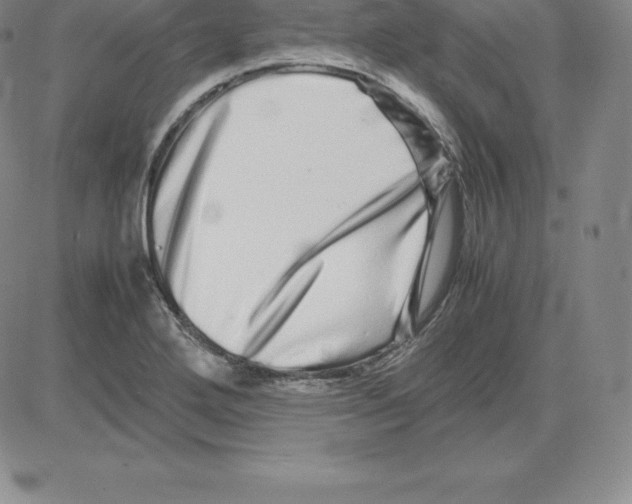 X0000080111272200701051320