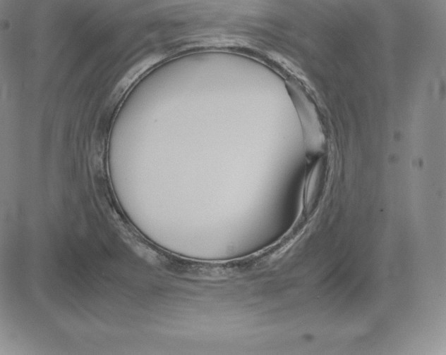 X0000080111273200701051320