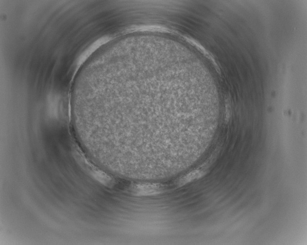 X0000080111274200701051320