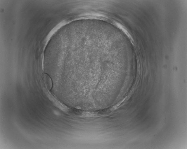 X0000080111275200701051320