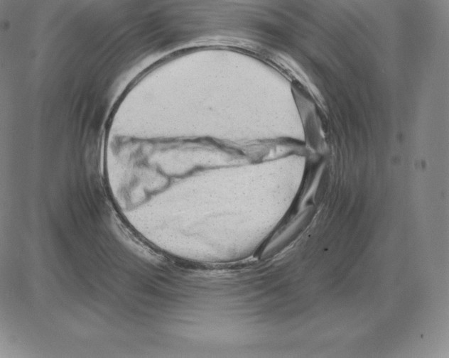 X0000080111276200701051320