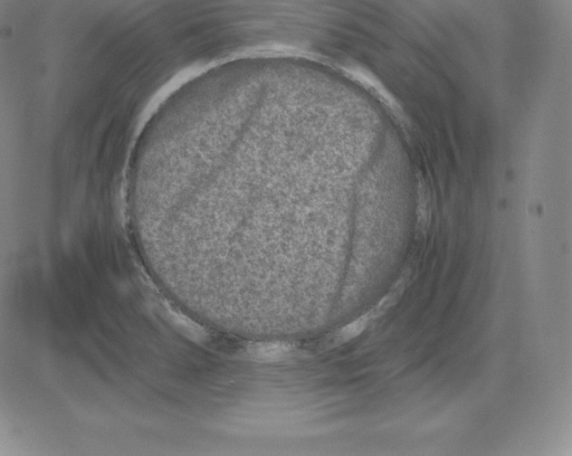 X0000080111278200701051320