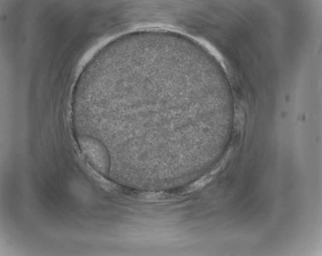 X0000080111279200701051320