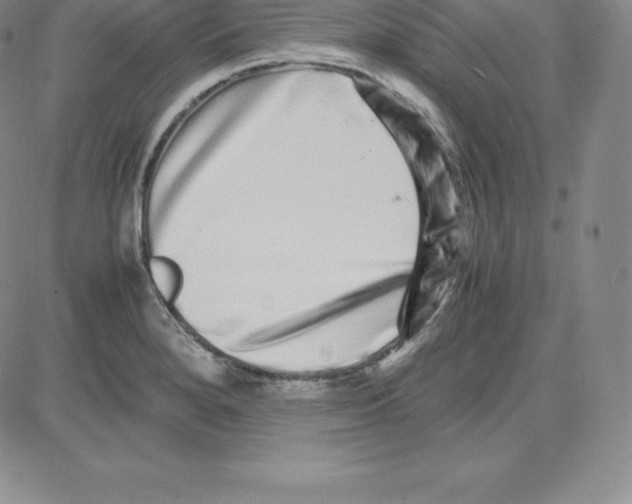 X0000080111280200701051320