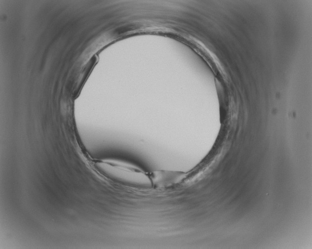 X0000080111281200701051320