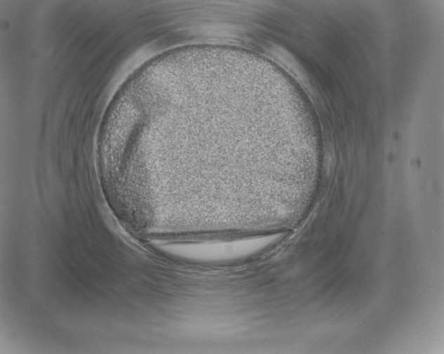 X0000080111283200701051320