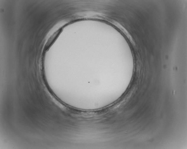 X0000080111285200701051320