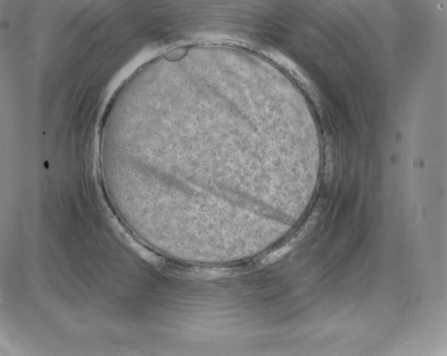 X0000080111286200701051320