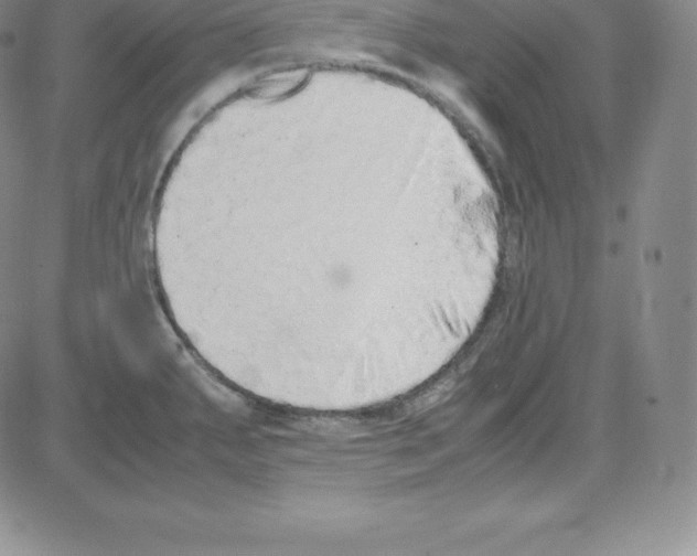 X0000080111287200701051320