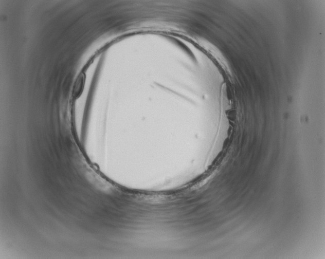 X0000080111288200701051320