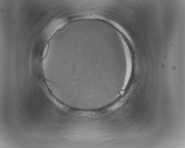 X0000080111289200701051320