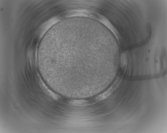 X0000080111290200701051320