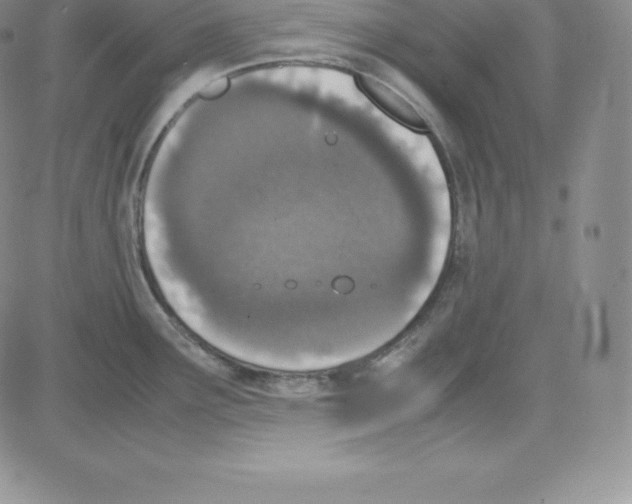 X0000080111291200701051320