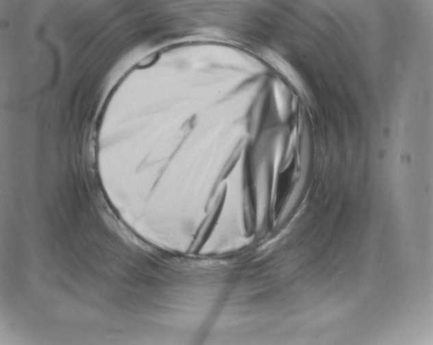 X0000080111292200701051320